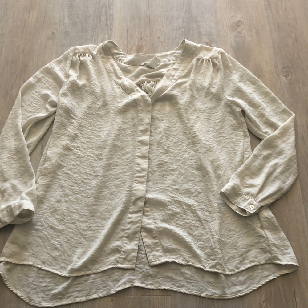 H&M sheer work blouse